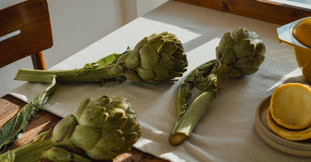découvrez tout sur les artichauts : bienfaits pour la santé, recettes délicieuses, conseils de préparation et astuces de culture. explorez ce légume exceptionnel aux multiples vertus nutritionnelles et régalez-vous avec des plats savoureux mettant en valeur cet ingrédient délicieux.