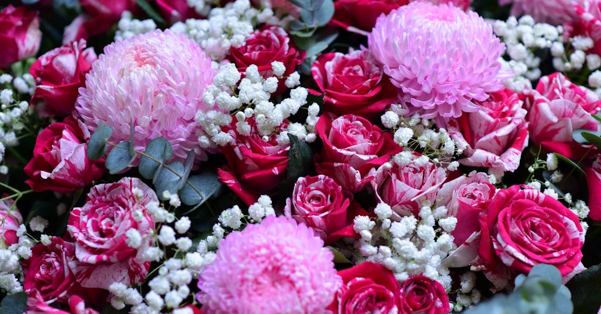 découvrez l'élégance intemporelle du gypsophile, également connu sous le nom de 'souffle de bébé'. parfait pour sublimer vos bouquets de mariages, événements ou décorations, cette petite fleur délicate ajoute une touche de légèreté et de raffinement à toutes vos créations florales.