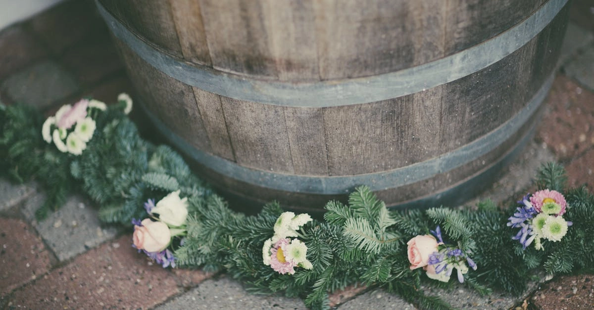 découvrez notre sélection unique de barils, parfaits pour la conservation, le vieillissement et la présentation de vos boissons préférées. que ce soit pour le vin, le whisky ou le jardinage, nos barils allient tradition et modernité pour répondre à tous vos besoins.