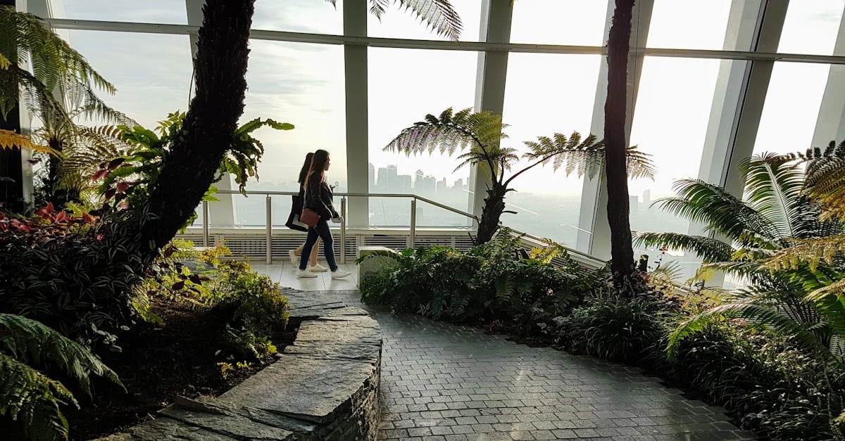 découvrez notre serre bioclimatique, un espace innovant et écologique qui favorise la culture durable. profitez d'un environnement optimisé pour vos plantes, alliant confort et respect de l'environnement grâce à des solutions intelligentes de gestion de la température et de l'humidité.