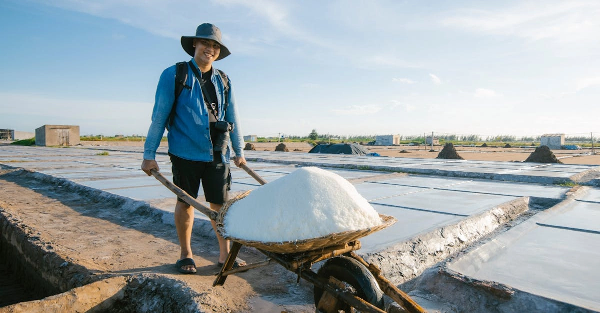 découvrez le coureur de châtaignes, un insecte nuisible qui affecte les châtaigniers. apprenez comment identifier ses signes de présence, ses impacts sur les arbres et les méthodes de lutte pour préserver vos forêts et votre biodiversité.