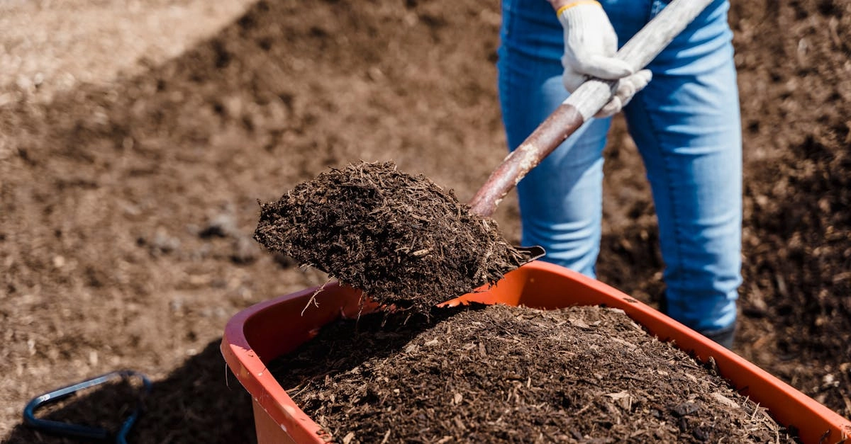 découvrez les bienfaits du compostage pour votre jardin et l'environnement. apprenez à créer votre propre compost facilement, à partir de déchets organiques, et transformez vos résidus en un engrais naturel riche en nutriments pour vos plantes.