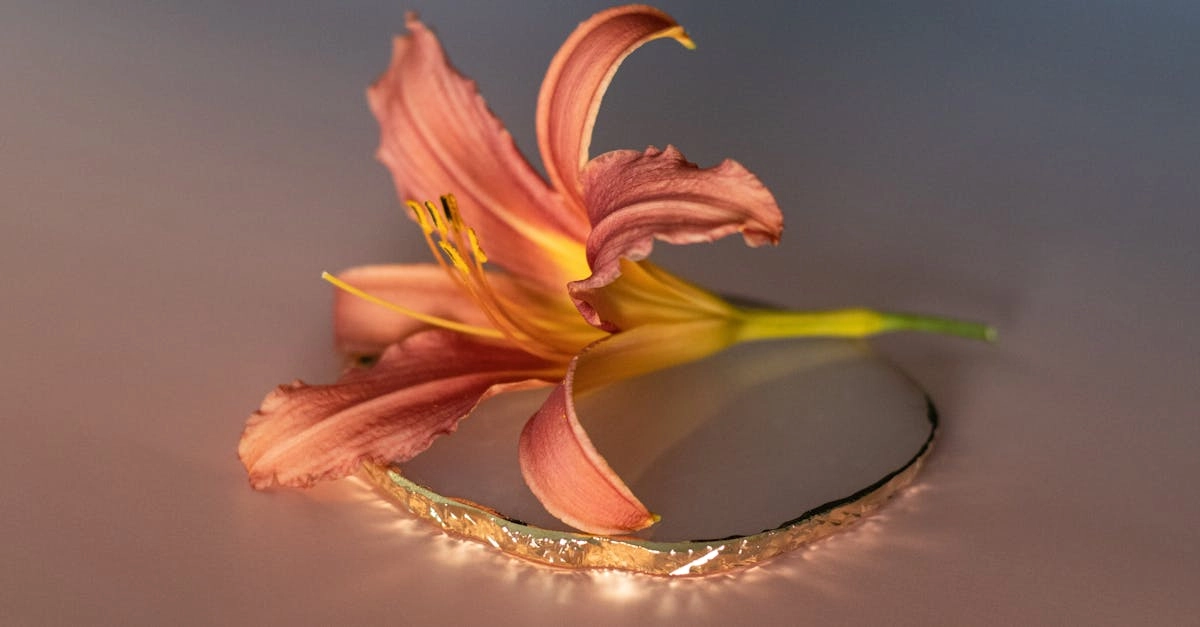 découvrez l'univers fascinant des plantes à fleurs avec nos conseils d'experts. apprenez à choisir, cultiver et entretenir vos fleurs pour un jardin épanoui et coloré toute l'année.