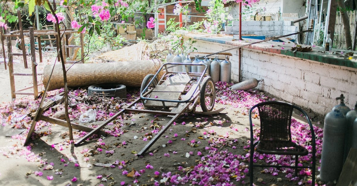 découvrez les légumes oubliés, ces trésors du jardin méconnus qui regorgent de saveurs et de bienfaits pour la santé. apprenez à les cultiver et à les intégrer dans vos plats pour une cuisine originale et gourmande.