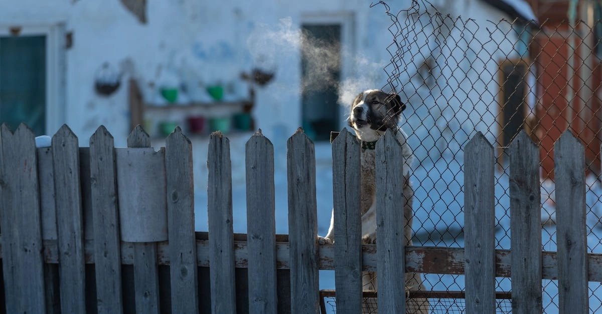 découvrez nos solutions efficaces de protection contre le gel pour vos plantes et cultures. assurez la santé de votre jardin et préservez vos récoltes face aux températures basses avec nos conseils et produits adaptés.