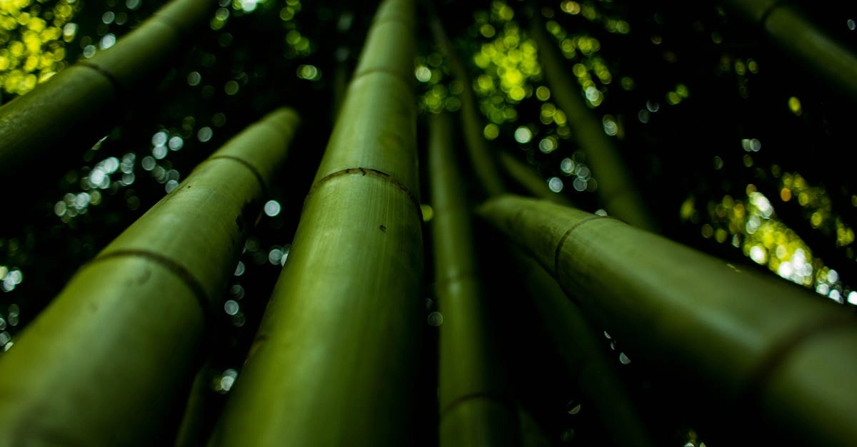 découvrez comment créer un jardin vertical peu exigeant en entretien, alliant esthétique et facilité d'entretien. idéal pour les petits espaces, ce jardinage innovant apporte une touche de verdure à votre intérieur ou extérieur, sans nécessiter des soins complexes.