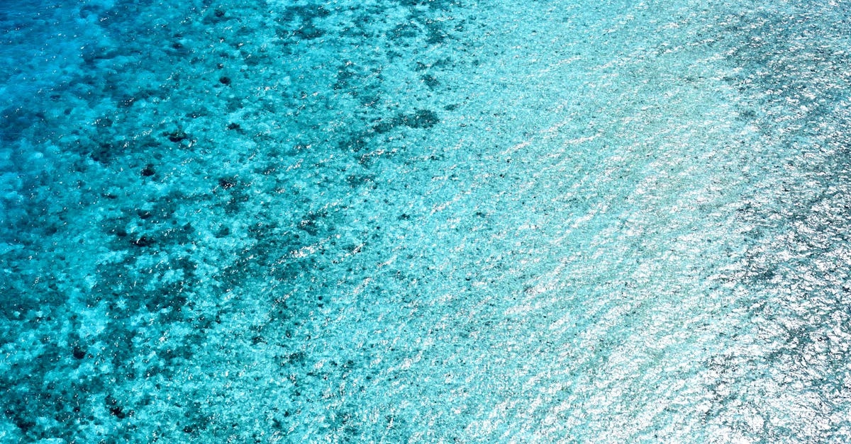 découvrez les effets négatifs de l'excès d'arrosage sur vos plantes. apprenez à identifier les signes de sur-arrosage et trouvez des solutions pour préserver la santé de votre jardin. ne laissez pas l'eau gâcher vos efforts de jardinage !