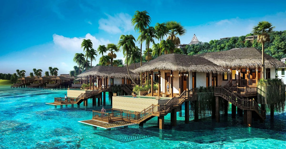 découvrez les conséquences de l'excès d'eau sur vos plantes et apprenez à identifier les signes de sur-arrosage. optimisez vos techniques d'arrosage pour garantir la santé et la croissance de votre jardin.