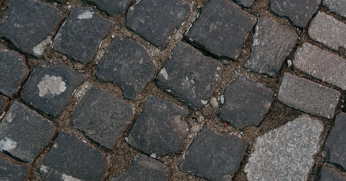 découvrez tout sur le pavage : techniques, matériaux et conseils pour réaliser des surfaces durables et esthétiques. transformez votre espace extérieur avec des solutions adaptées à vos besoins.