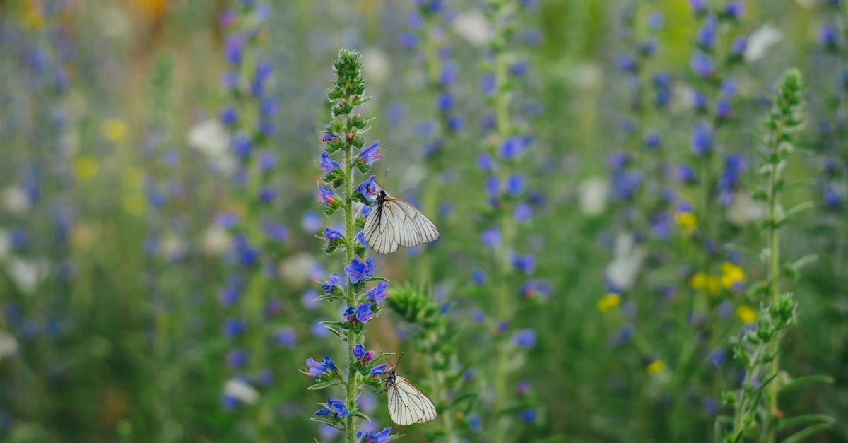 découvrez l'importance cruciale des pollinisateurs pour notre écosystème. apprenez comment ces insectes indispensables contribuent à la fertilisation des plantes, à la production des fruits et à la biodiversité, tout en explorant des actions simples pour les protéger et les conserver.