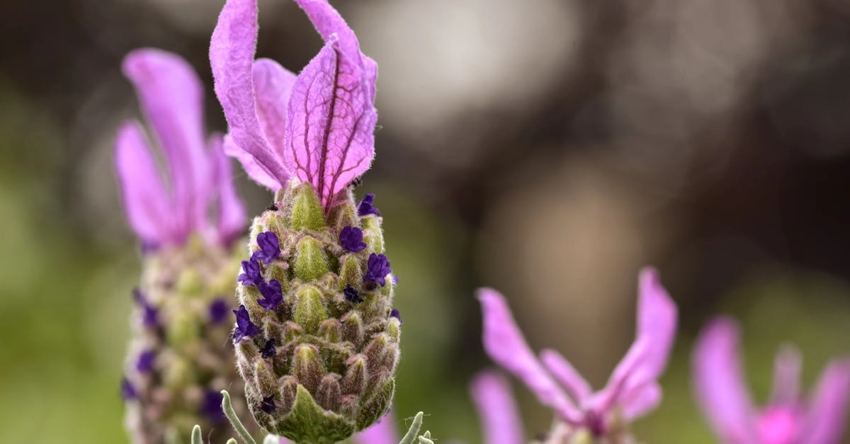 découvrez l'importance des pollinisateurs dans notre écosystème. apprenez comment ces petites créatures, comme les abeilles et les papillons, contribuent à la pollinisation des plantes, la production alimentaire, et la biodiversité. protégez nos pollinisateurs et préservez l'équilibre de la nature.