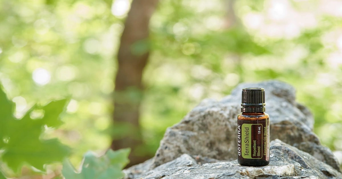 découvrez les plantes répulsives, alliées naturelles pour repousser les insectes et autres nuisibles. apprenez à les cultiver et à les intégrer dans votre jardin pour un environnement sain et harmonieux.