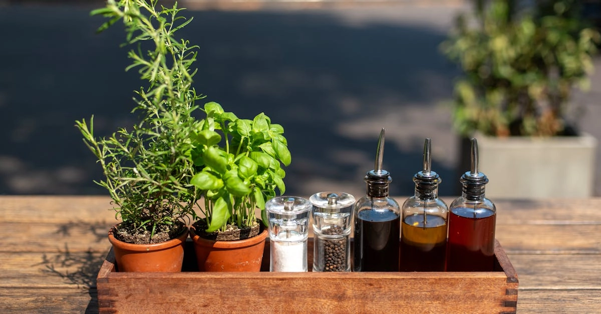 découvrez le romarin, une herbe aromatique prisée pour ses nombreuses vertus en cuisine et en médecine. apprenez à l'utiliser pour rehausser vos plats, améliorer votre bien-être et explorer ses propriétés antioxydantes. plongez dans l'univers du romarin et ses bienfaits.