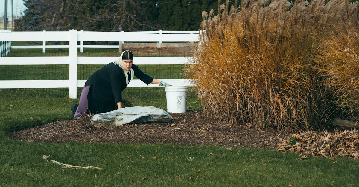 découvrez le mulching, une technique écologique de tonte de pelouse qui consiste à broyer l’herbe coupée pour la répandre sur le sol. améliorez la santé de votre gazon tout en réduisant vos déchets verts grâce au paillage naturel.