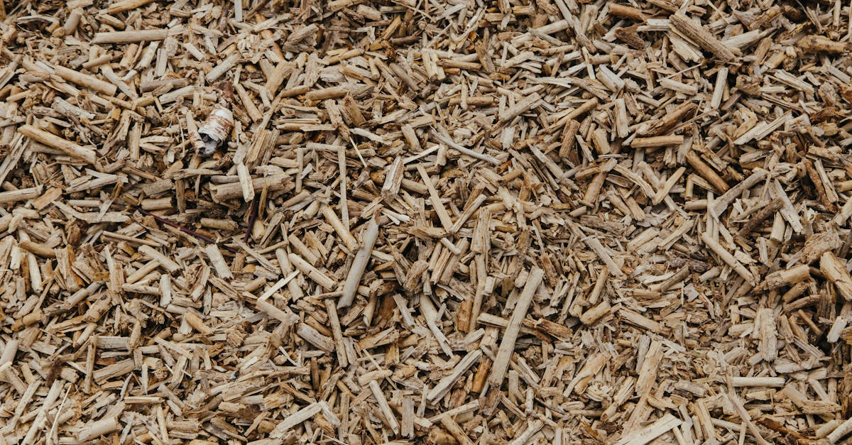 découvrez le mulching, une technique de tonte écologique qui consiste à broyer finement l’herbe pour la laisser sur la pelouse. améliorez la fertilité de votre gazon tout en réduisant vos déchets de tonte !