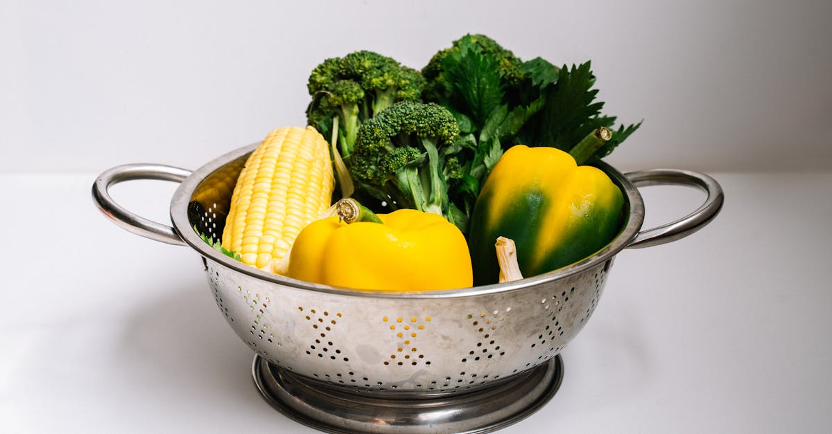 découvrez l'importance de la nutrition des plantes pour un jardin luxuriant. apprenez les meilleurs nutriments essentiels pour favoriser la croissance des plantes, améliorer la santé du sol et maximiser les récoltes. transformez votre jardin en un véritable havre de biodiversité grâce à des pratiques de nutrition durables.