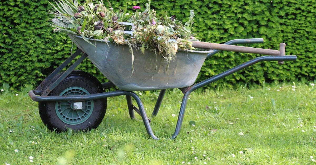 découvrez notre sélection d'outils de jardinage pour entretenir facilement votre jardin. qualité, praticité et conseils pour les débutants comme les experts.