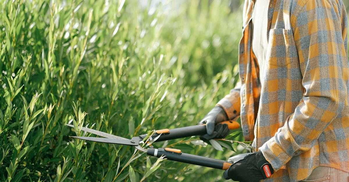 découvrez les meilleurs outils de jardinage pour entretenir facilement votre jardin. conseils, comparatifs et astuces pour choisir l’équipement adapté à vos besoins.