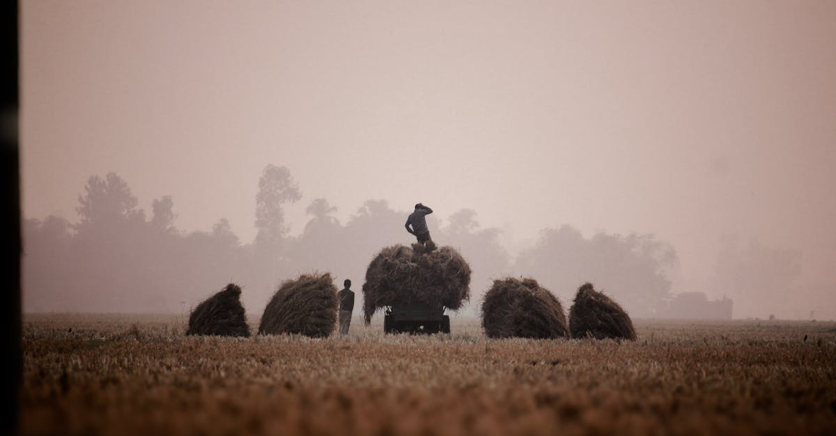 découvrez comment la collecte des eaux de pluie permet d’économiser l’eau, de préserver l’environnement et de réduire les factures domestiques grâce à des systèmes simples et efficaces.
