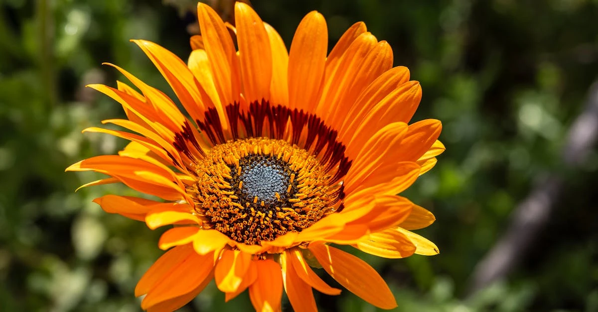 découvrez le plafond radiant, une solution innovante de chauffage qui offre confort thermique, économie d’énergie et design épuré pour tous vos espaces intérieurs.