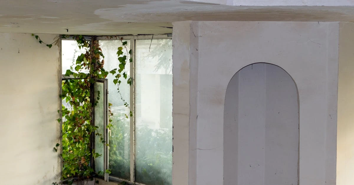 service professionnel d'enlèvement de lierre pour protéger vos murs et vos jardins. éliminez le lierre envahissant en toute sécurité et efficacement.