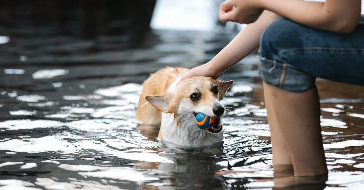 découvrez notre filtre à billes pour piscine, une solution efficace et écologique pour une eau propre et claire toute la saison.