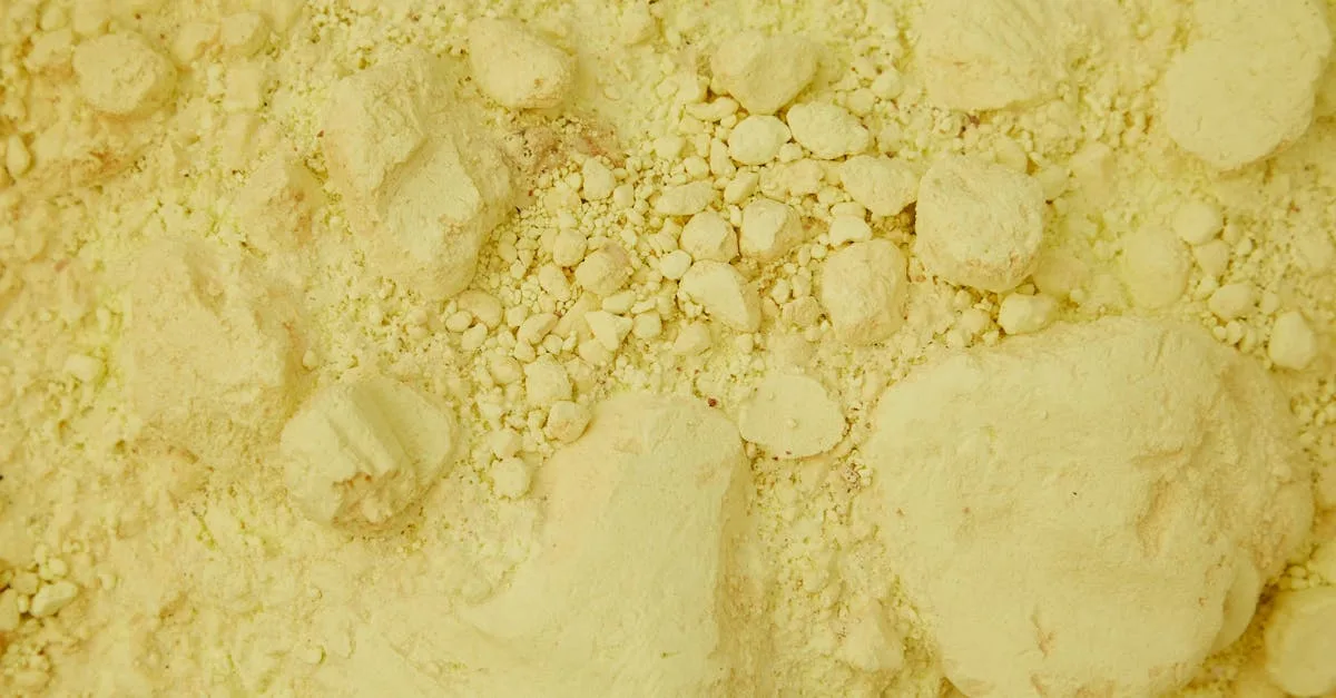 découvrez tout sur l'oïdium, une maladie fongique courante affectant de nombreuses plantes, ses symptômes, causes et méthodes de traitement efficaces.