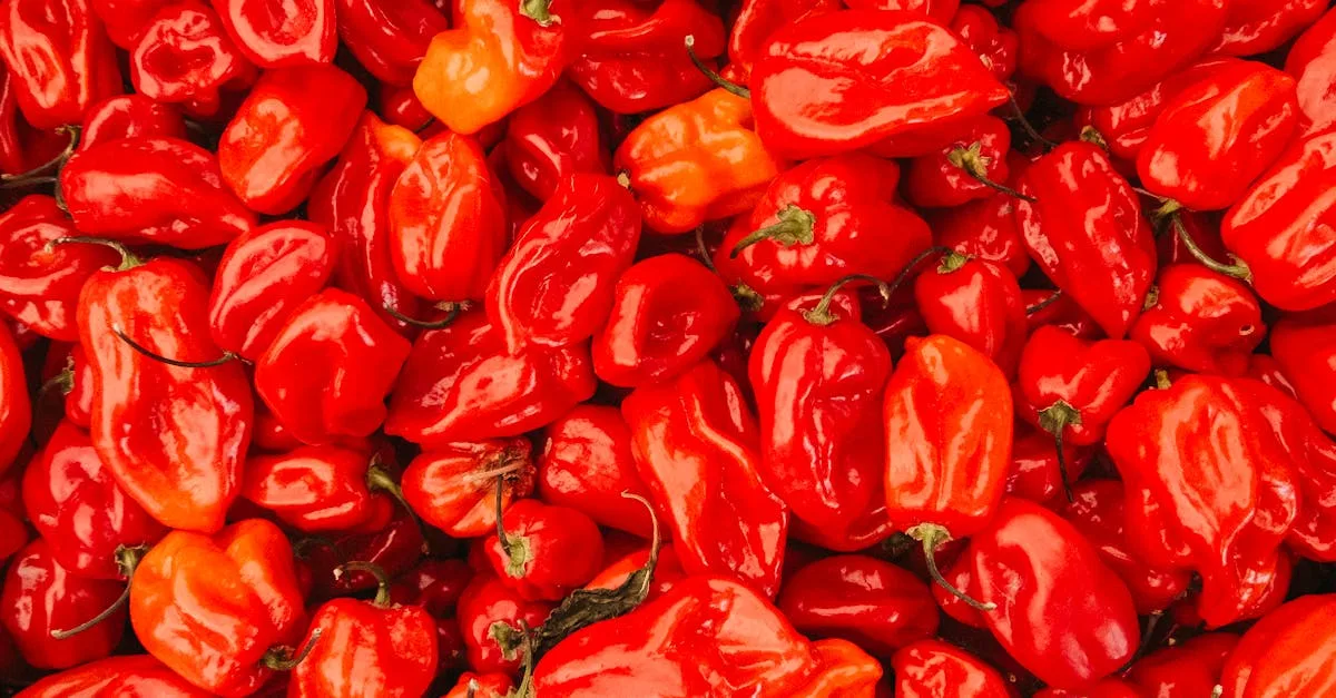 découvrez l'échelle de scoville, une mesure de la force des piments et des aliments épicés, pour mieux comprendre et apprécier les degrés de piquant.