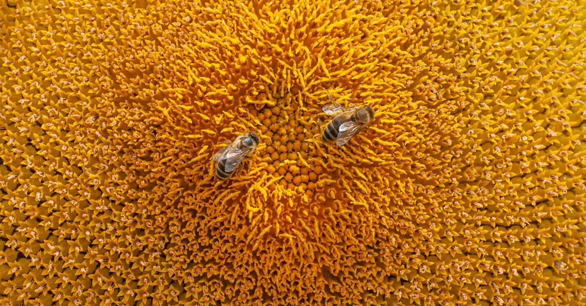 découvrez tout sur les pucerons : identification, prévention et traitement pour protéger vos plantes efficacement.