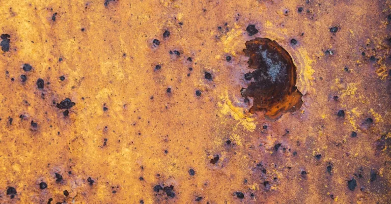 découvrez tout sur les pucerons : identification, prévention et méthodes naturelles pour protéger vos plantes efficacement.