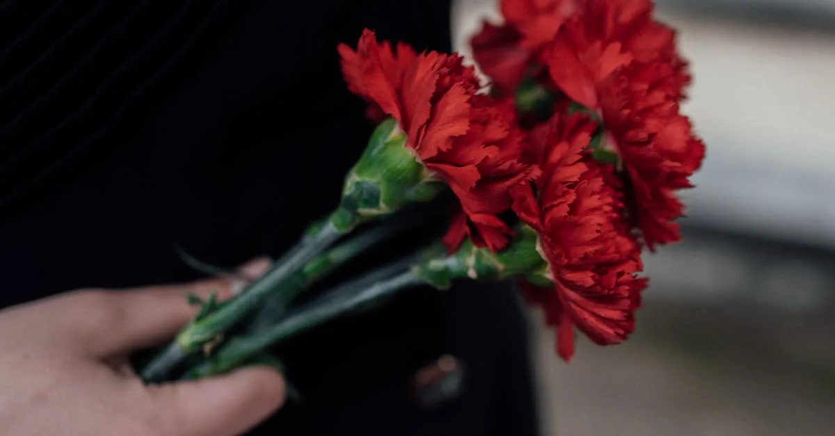 découvrez la symbolique des lycoris rouges, des fleurs mystérieuses associées à la passion, à la mort et à la renaissance dans différentes cultures.