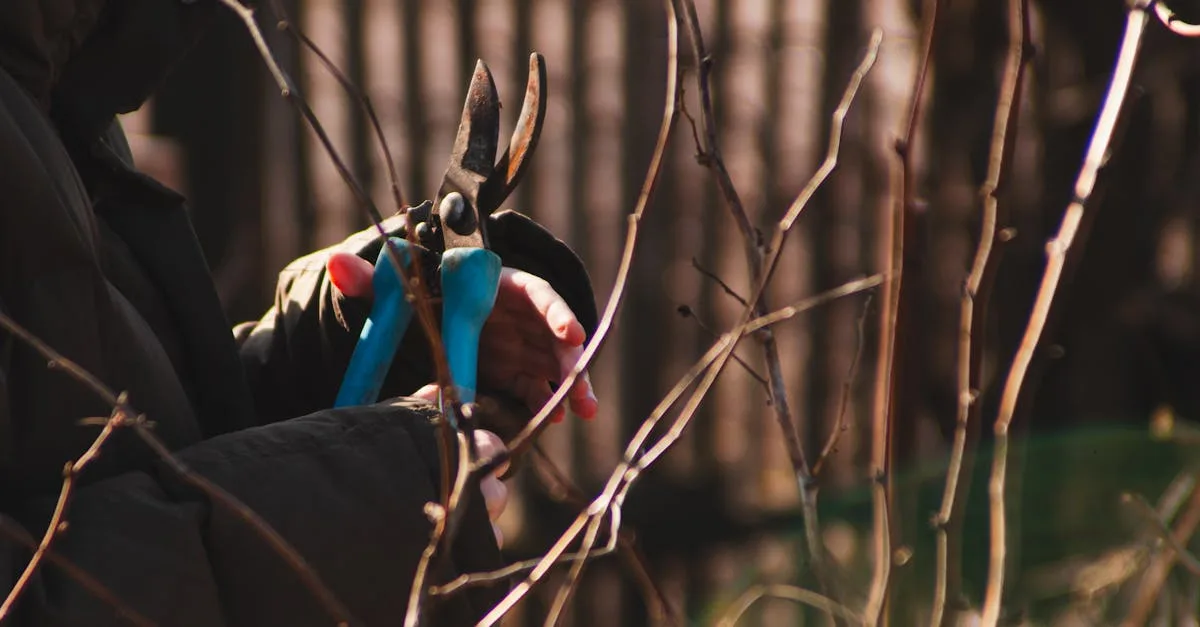 découvrez comment tailler le romarin pour stimuler sa croissance et maintenir une plante saine et aromatique toute l'année.