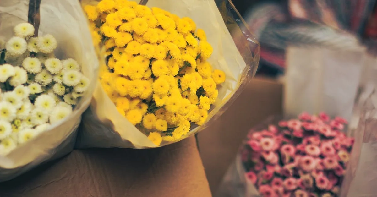 découvrez notre sélection de fleurs fraîches et colorées pour toutes les occasions. offrez un bouquet unique et sublimez vos moments spéciaux avec nos magnifiques fleurs.