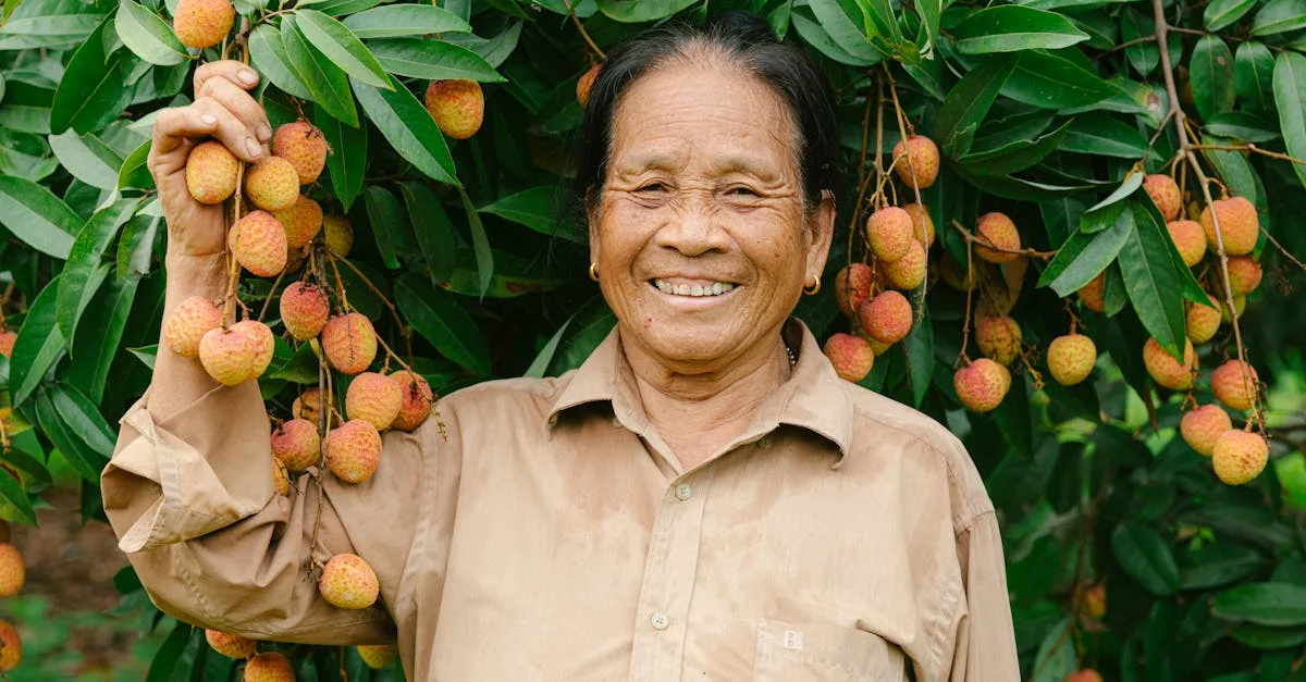 découvrez tout sur l'arbre de litchi : conseils de culture, entretien et récolte des délicieux fruits exotiques.