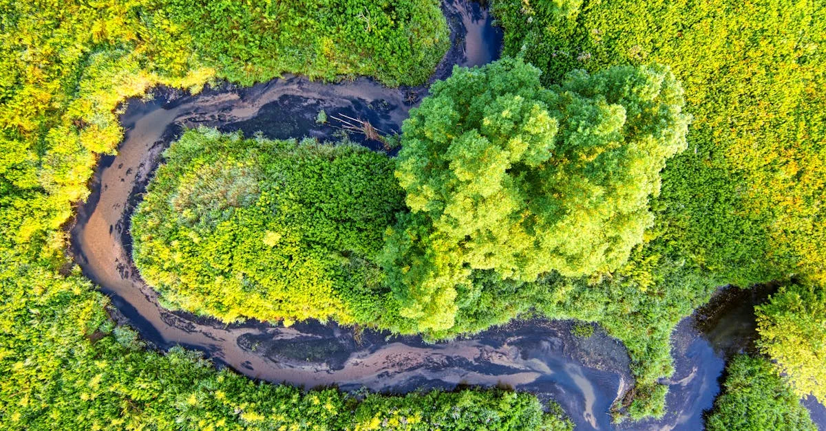 découvrez tout ce que vous devez savoir sur les réglementations environnementales, leurs objectifs, et leur impact sur les entreprises et la société.