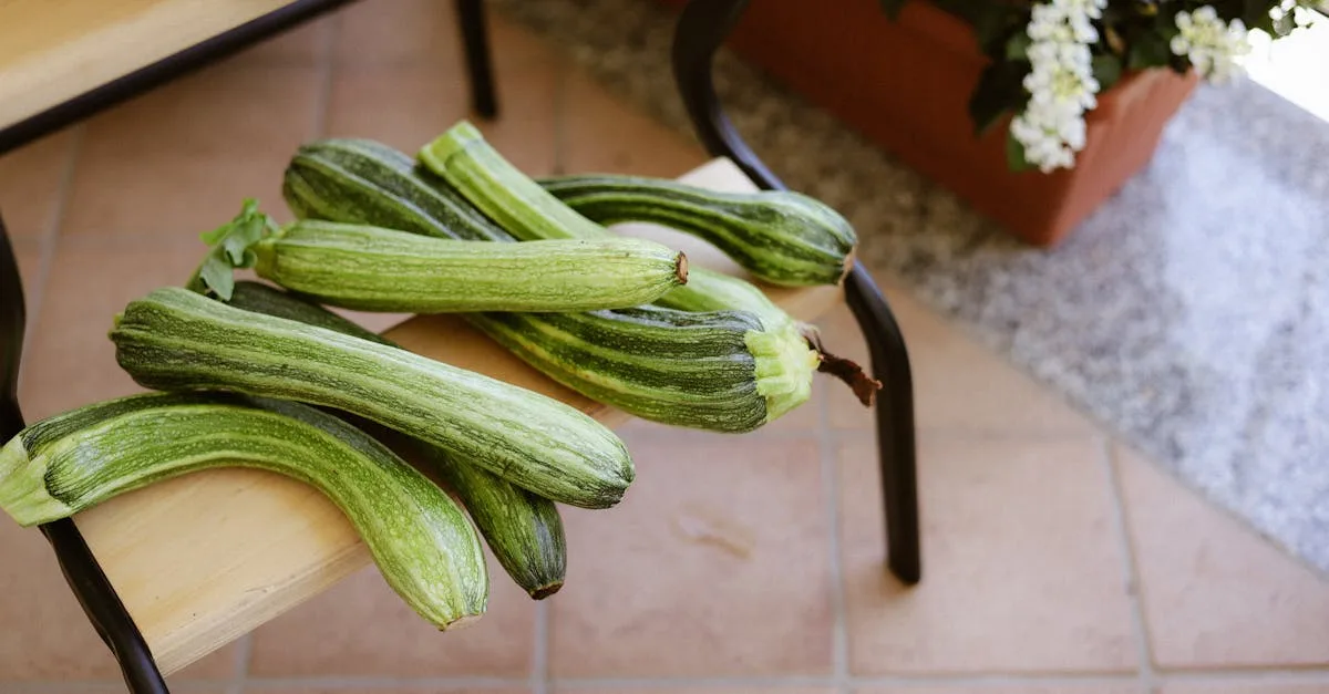 découvrez des conseils efficaces pour éviter que vos courgettes ne pourrissent et ainsi prolonger leur fraîcheur et leur durée de conservation.