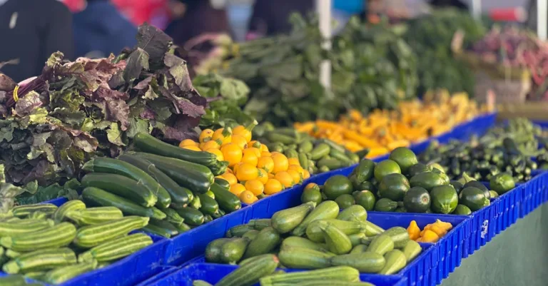 découvrez des astuces efficaces pour empêcher les courgettes de pourrir et les conserver plus longtemps.