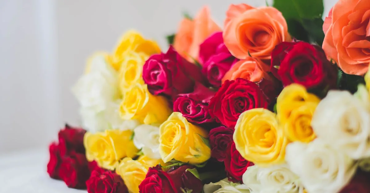 découvrez la signification des différentes couleurs de roses et ce qu'elles symbolisent dans diverses cultures et occasions.