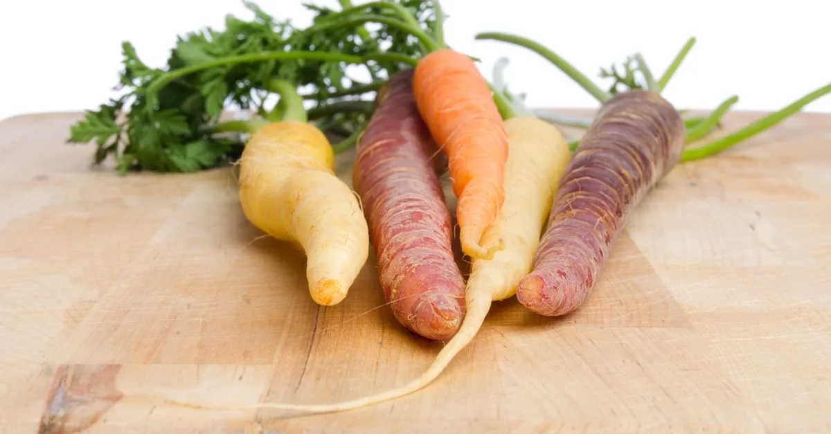 découvrez tout sur la déformation des carottes : causes, effets et solutions pour préserver leur qualité et apparence.