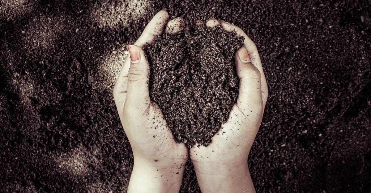 découvrez des méthodes efficaces pour l'enrichissement du sol, améliorer la fertilité de la terre et favoriser une croissance végétale saine et durable.