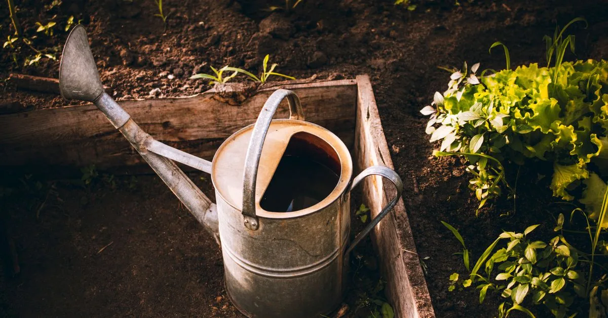 découvrez comment cultiver facilement des légumes en pot avec des conseils simples pour un jardinage en conteneur réussi, même dans les petits espaces.