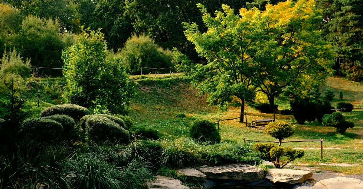 découvrez des idées et conseils pour créer un jardin naturel, alliant beauté et respect de l'environnement.