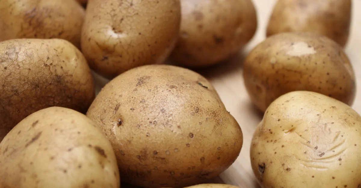 découvrez tout sur les petites pommes de terre : astuces de cuisson, recettes savoureuses et conseils pour choisir les meilleures variétés.