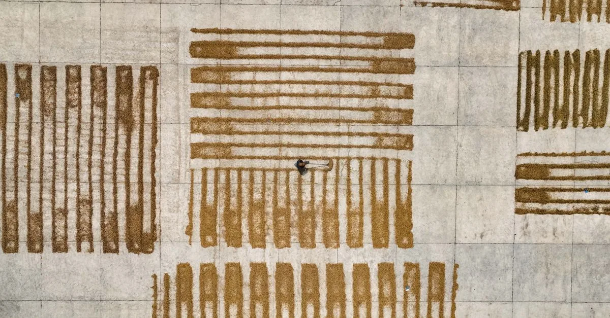 découvrez notre séchoir solaire, une solution écologique et économique pour sécher vos aliments rapidement grâce à l'énergie du soleil.