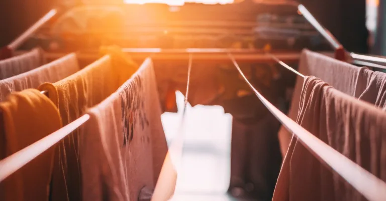 découvrez notre séchoir solaire innovant, écologique et économique, idéal pour sécher vos fruits, légumes et herbes de manière naturelle et rapide grâce à l'énergie solaire.