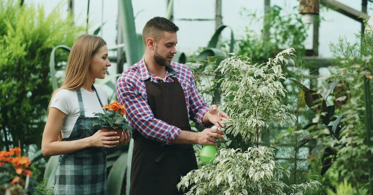 découvrez les meilleures astuces et conseils pour réussir votre jardinage urbain, même en espace réduit, et cultivez vos propres légumes et plantes en ville.