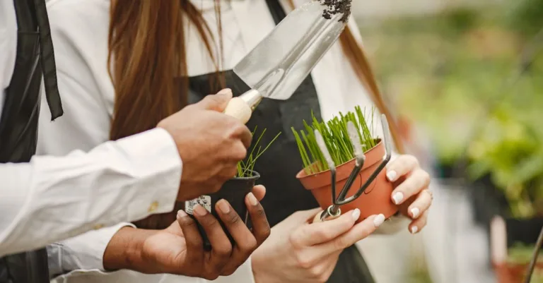 découvrez le jardinage urbain : astuces, conseils et idées pour cultiver vos plantes en ville, sur balcon, terrasse ou petit espace.