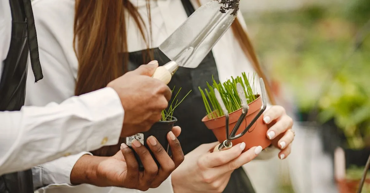 découvrez le jardinage urbain : astuces, conseils et idées pour cultiver vos plantes en ville, sur balcon, terrasse ou petit espace.