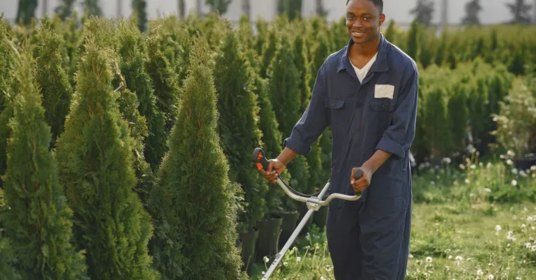 découvrez le tarif horaire moyen d'un jardinier pour entretenir votre jardin efficacement et à bon prix.