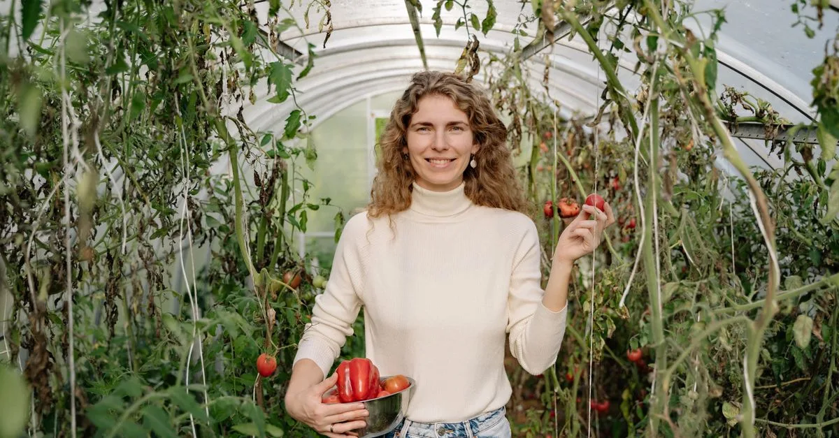 découvrez les meilleures associations de plantes pour la culture des tomates afin d'améliorer la croissance, prévenir les maladies et augmenter les récoltes dans votre jardin.